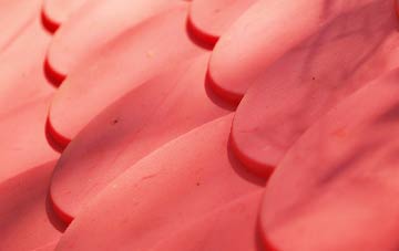 Nether Exe plastic roof costs