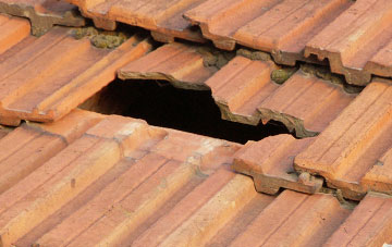 roof repair Nether Exe, Devon